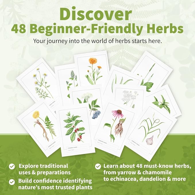Herb Notes Flash Cards – Educational Plant Learning Cards - Image 2