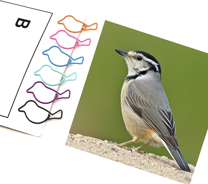 60 Pcs Cute Bird Paper Clips Mixed Color, Bird Lover Gifts - Image 3