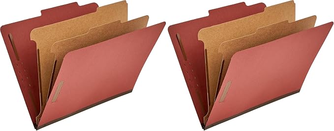 Amazon Basics Classification Folder by AmazonBasics