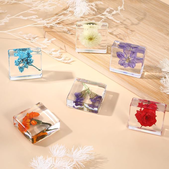 6Pcs Pressed Flower Paper Weights, Real Flower Resin Crafts, Pattern Weights - Image 4