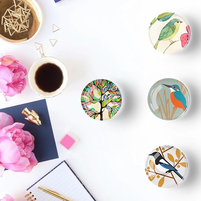 12Pcs Glass Refrigerator Magnet Fridge Sticker,Bird Fridge Magnets Decoration for Crafts,Strong Fridge Magnets for Kitchen, School,Office Whiteboard, Cabinet and Dishwasher-DeskLoop Office