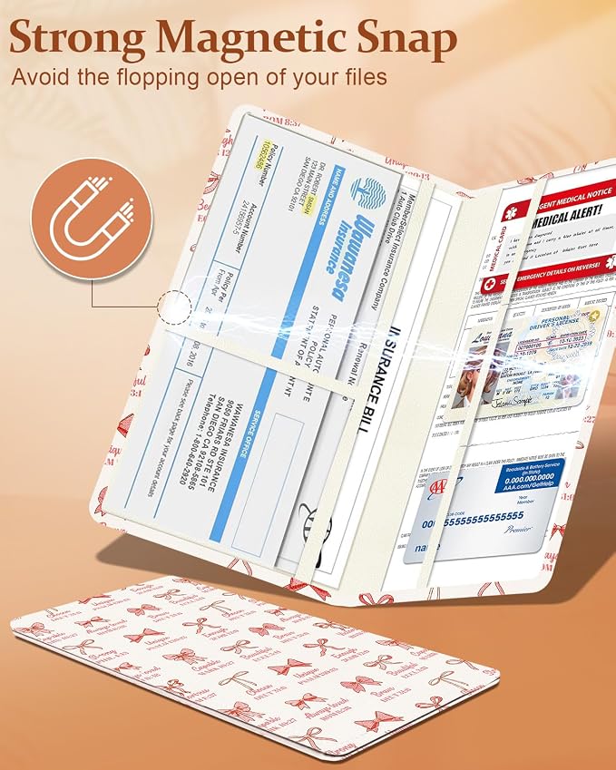 Slohif Car Registration and Insurance Holder - Image 4