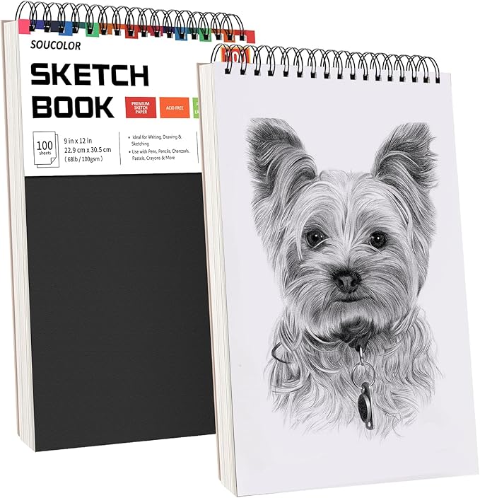 Professional Drawing Supplies for Sketch, Charcoal, Colored, Graphite, Pastel Pencils & Sticks. Soucolor 2-Pack 9" x 12" Sketch Book, 200 Sheets Spiral Bound 68lb/100gsm Paper for Kids Adults Artists-DeskLoop Office