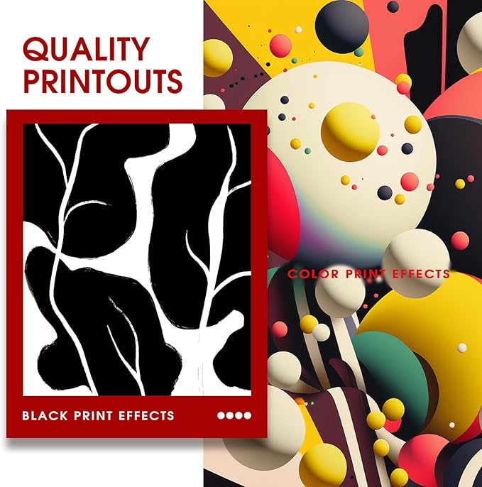 245XL 246XL Combo Pack Compatible for Canon Ink 245 and 246 PG-245 CL-246 Works with Canon MX490 MX492 MG2522 MG3029 TR4520 TR4522 TR4500 TS3122 (1Black, 1Color) 2Pack-DeskLoop Office