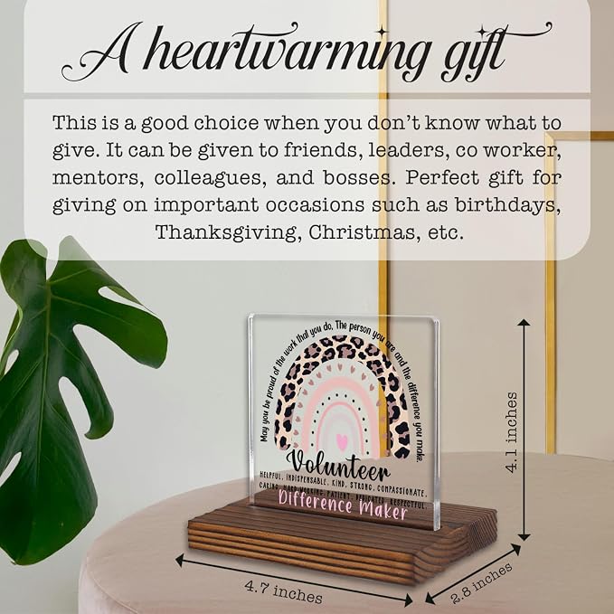 Volunteer Appreciation Gift Desk Sign Leopard Rainbow Decor, Motivational Thank - Image 4