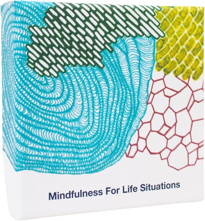 Mindfulness Cards Deluxe Artist Edition 48 Research-Backed Techniques by FeelWise