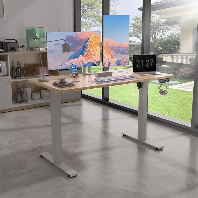 48 * 24 Electric Standing Desk, Adjustable Height Sit Stand Up Desk, Motorized Home Office Computer Gaming Workstation Desk-DeskLoop Office