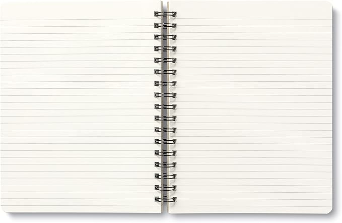 Compendium Spiral Notebook - Play All Day — A Designer Spiral Notebook with 192 Lined Pages, College Ruled, 7.5”W x 9.25”H-DeskLoop Office