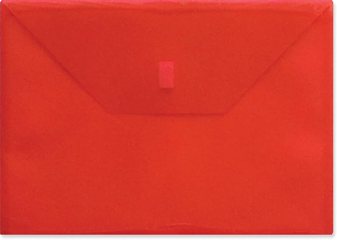 Lion Design-R-Line Poly Envelope, 9-3/8 Inch x 13 Inch by LION