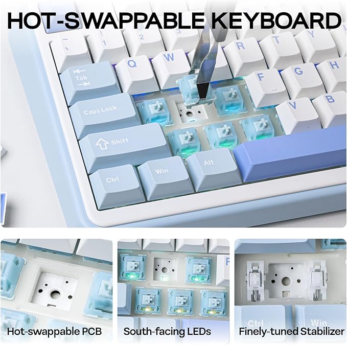 EPOMAKER TH99 Wireless Mechanical Keyboard with Lubed Silent Switch, Quiet Gaming Keyboard, 8000mAh,Creamy Gasket,RGB Backlit,Numpad,PBT Keycap,Hot Swappable,for Gamers/Office (Blue&White)-DeskLoop Office