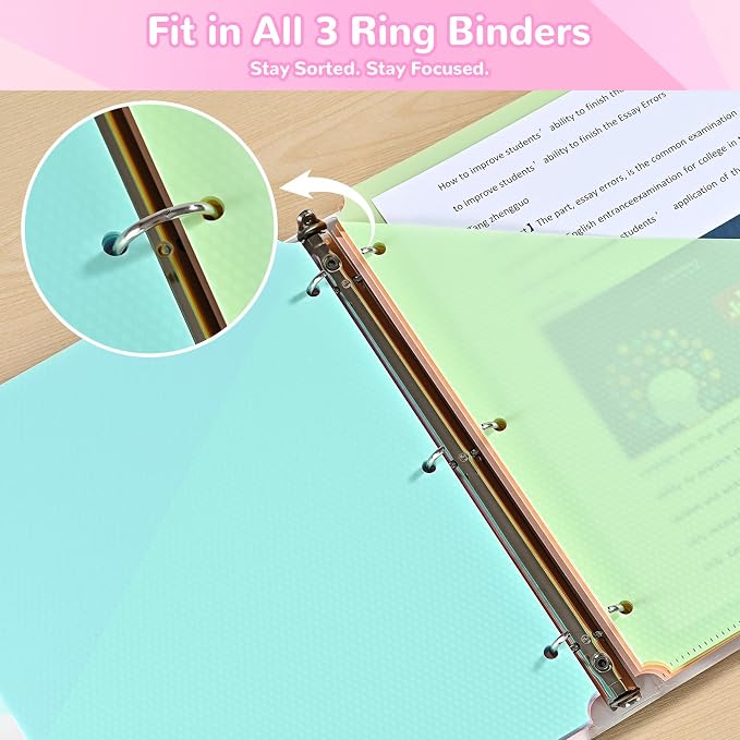 SUIN 8 Tab Binder Dividers - Image 6