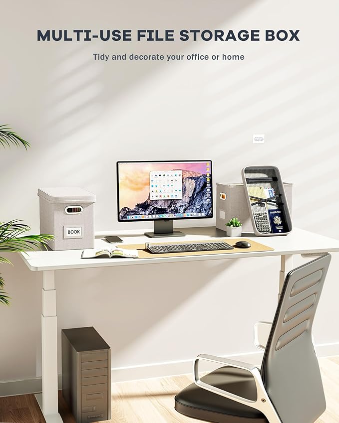 Oterri File Organizer Box with Lid, Hanging Filing File Box with Mesh Pocket, Document Organizer Box for Letter Files, Portable Storage Box with Smooth Sliding Rail for Office&Home (1 PCS, Beige)-DeskLoop Office