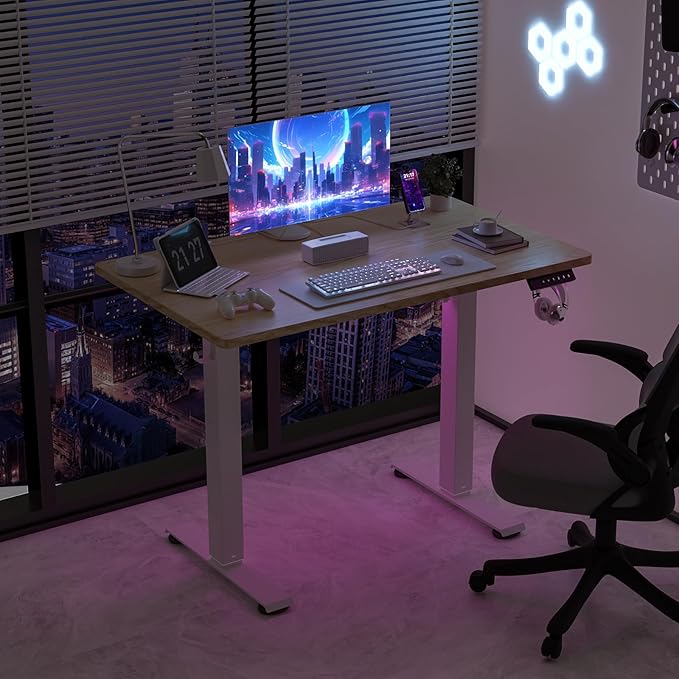 40 * 24 Electric Standing Desk, Adjustable Height Sit Stand Up Desk, Motorized Home Office Computer Gaming Workstation Desk-DeskLoop Office