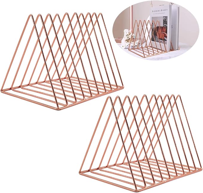 EASEPRES 9 Slot Magazine Rack Book Record Holder, Desktop Iron Storage Rack by EASEPRES