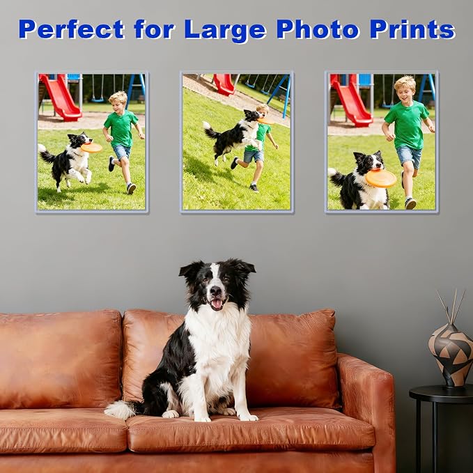 11x14 Toploader - Image 5
