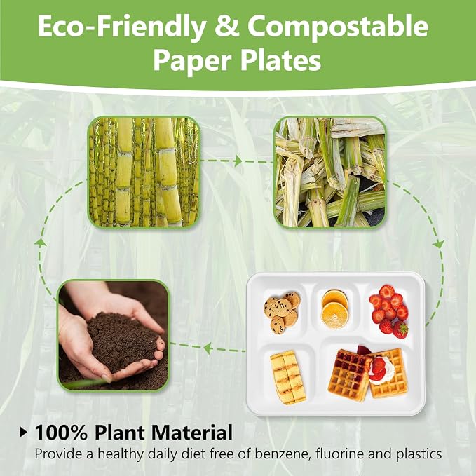 Compostable 5 Compartment Plates Disposable, 10.25 x 8.25 inch, 125 Pack - Image 3