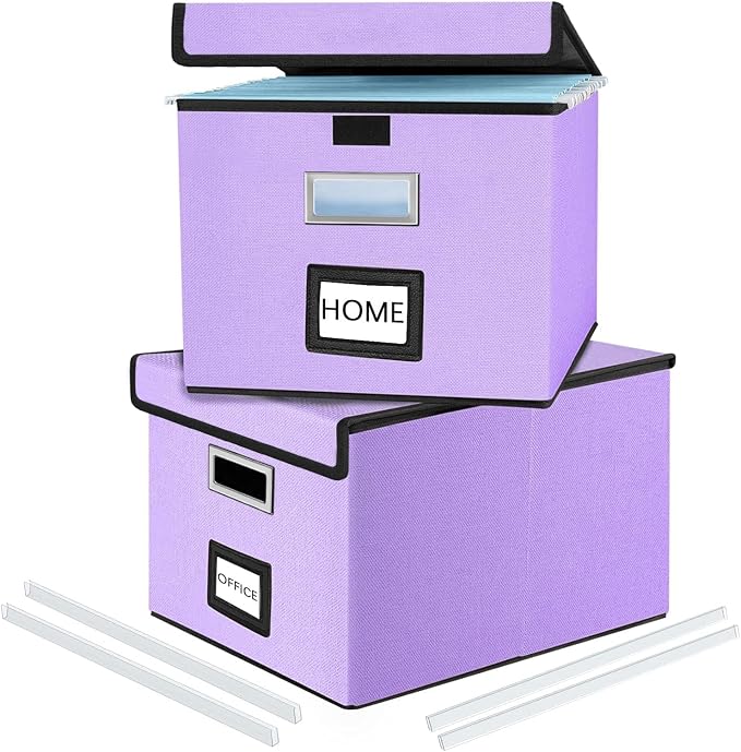 Decorative File Organizer Storage Boxes by Huolewa