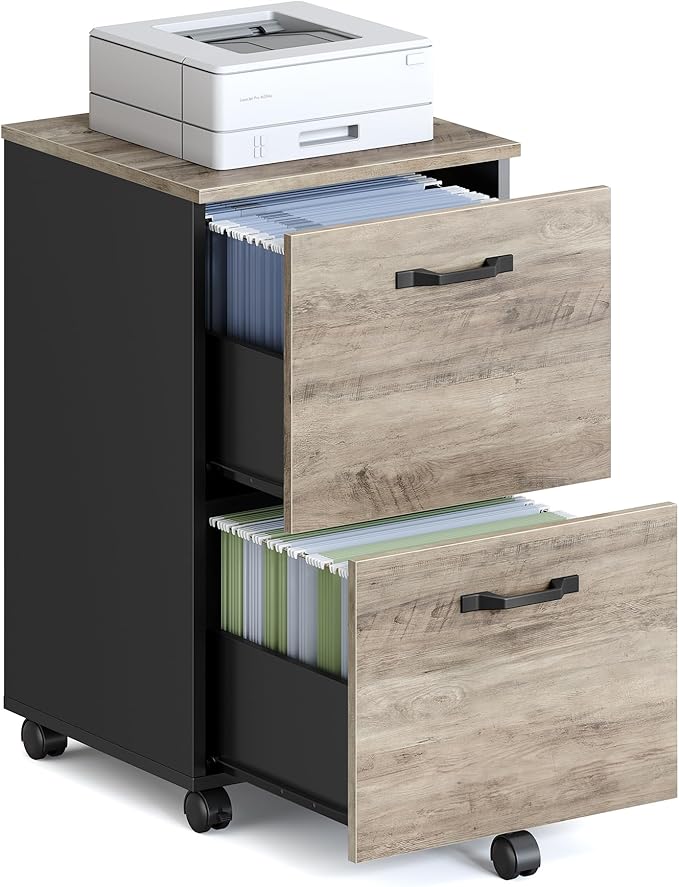 VASAGLE 2-Drawer File Cabinet, Small Rolling Filing Cabinet for Home Office, Printer Stand, for A4, Letter-Size Documents, 15.7 x 16.5 x 27.6 Inches, Heather Greige and Ink Black UOFC040B02-DeskLoop Office