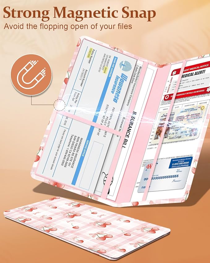 Slohif Car Registration and Insurance Holder - Image 4