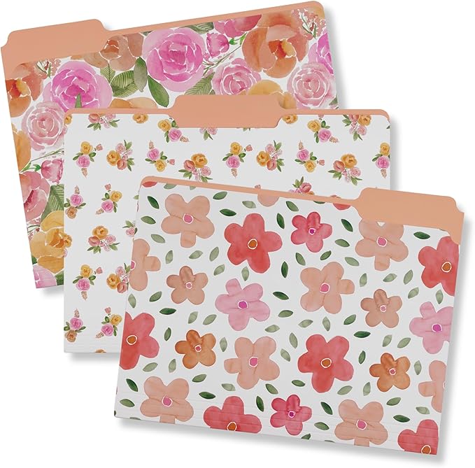 Steel Mill & Co. Set of 9 File Folders, Cute Decorative Letter Size Files by SteelMillCo