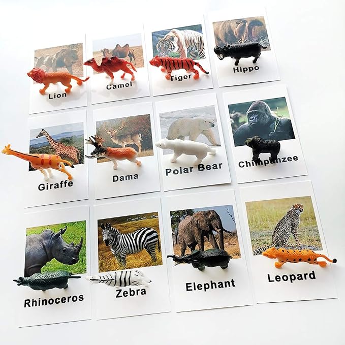 MEROCO Montessori Animal Match - Image 6
