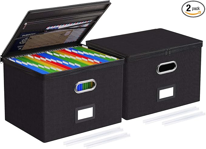 Oterri 2 Pack Large File Organizer Boxes by Oterri