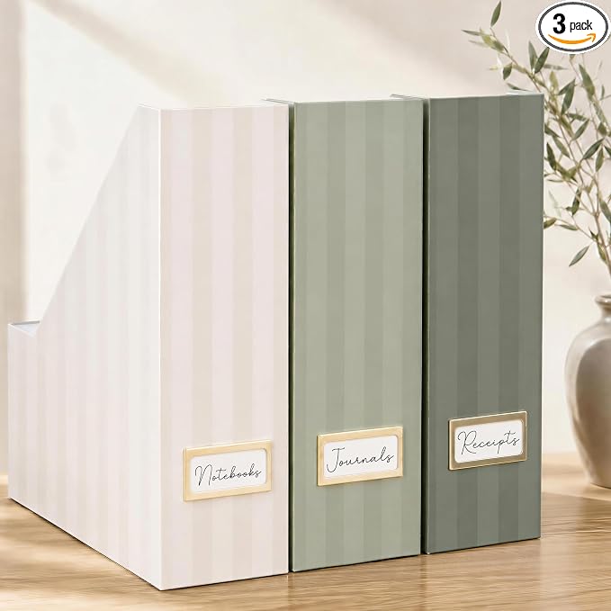 Beautiful Magazine Holder Set of 3 by ZICOTO