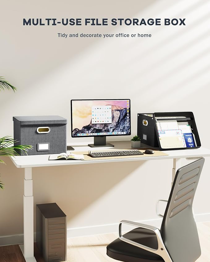 2 Pack File Organizer Box with Lid, Large Hanging Filing Box with Mesh Pocket, Document Organizer for Letter Files, Portable Storage Case for Office&Home (Black)-DeskLoop Office