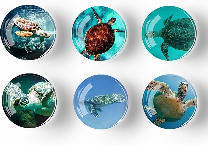 12Pcs Glass Refrigerator Magnet Fridge Sticker,Turtle Fridge Magnets Decoration for Crafts,Strong Fridge Magnets for Kitchen, School,Office Whiteboard, Cabinet and Dishwasher-DeskLoop Office