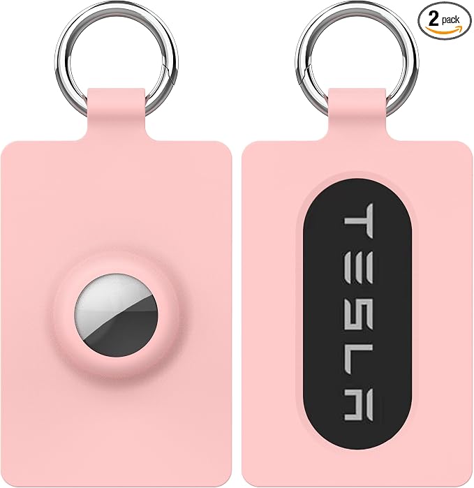 2Pcs Tesla Key Card Holder by Unknown