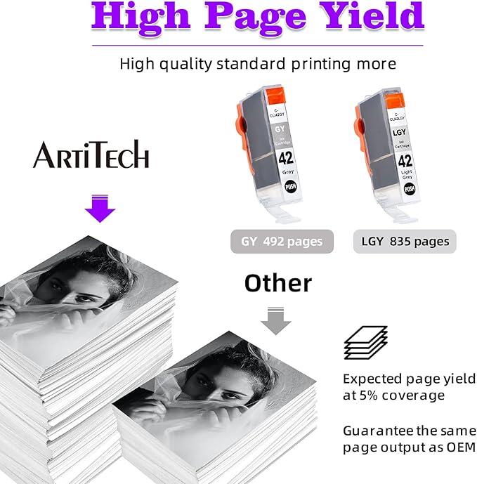 CLI-42 Pixma Pro-100 Ink Replacement for Canon CLI42 GY CLI-42 LGY Compatible Ink Cartridge Use for Pixma Pro-100 Pro-100s Printers 4 Value Pack (2 Gray, 2 Light Gray)-DeskLoop Office