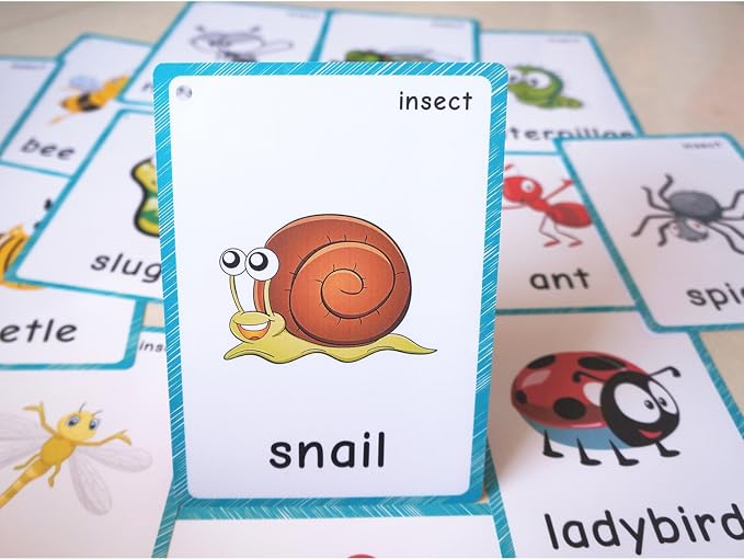 SANTSUN 14 Insects and Bugs Flashcards - Image 4