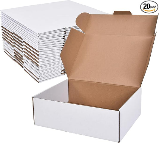 WINHPH 12x9x4 Inches Shipping Boxes Set of 20, Literature Mailer Box Packaging by Unknown