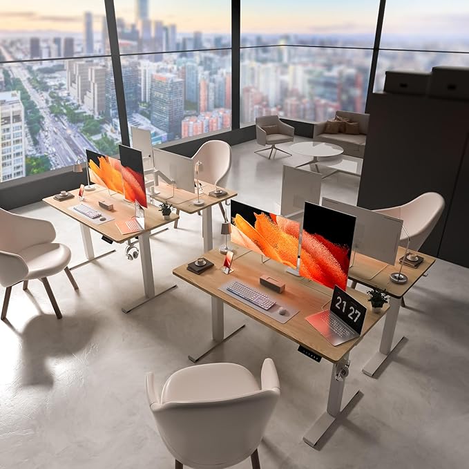 48 * 24 Electric Standing Desk, Adjustable Height Sit Stand Up Desk, Motorized Home Office Computer Gaming Workstation Desk-DeskLoop Office