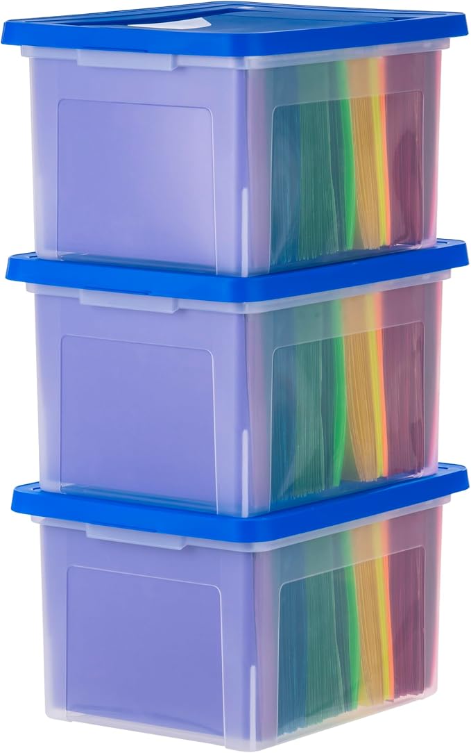 IRIS USA File Storage Box with Lid, Document Protection Box by IRISUSA