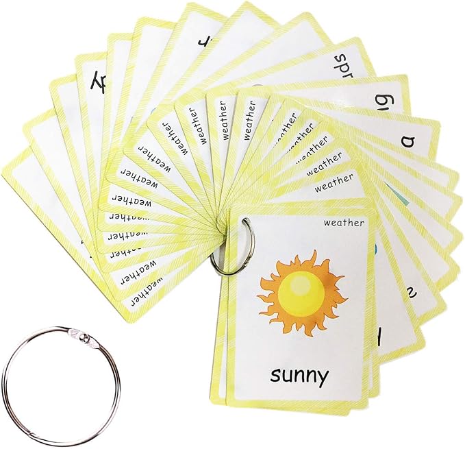 SANTSUN 24 Pcs Weather Flashcards Set by SANTSUN