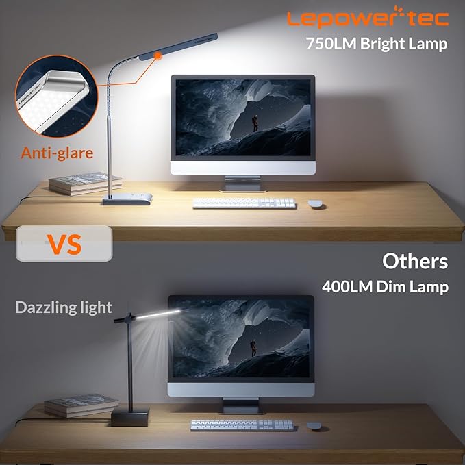 LED Desk Lamp, 12W Reading Desk Lamp for Office Home with 60 Lighting Modes, Touch Control & Timer Function, 750LM Bright Eye-Caring Gooseneck Desk Light Table Lamp for Study, Work, Silver-DeskLoop Office