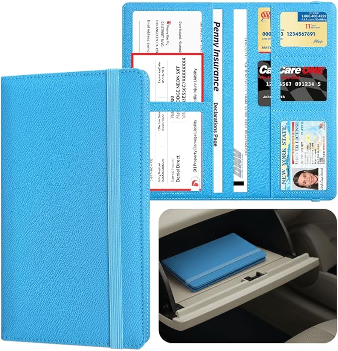 LINTRU 6-Pocket Car Registration & Insurance Card Holder by LINTRU