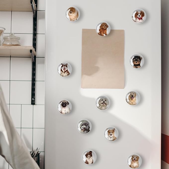 12Pcs Glass Refrigerator Magnet Fridge Sticker,Dog Fridge Magnets Decoration for Crafts,Strong Fridge Magnets for Kitchen, School,Office Whiteboard, Cabinet and Dishwasher-DeskLoop Office
