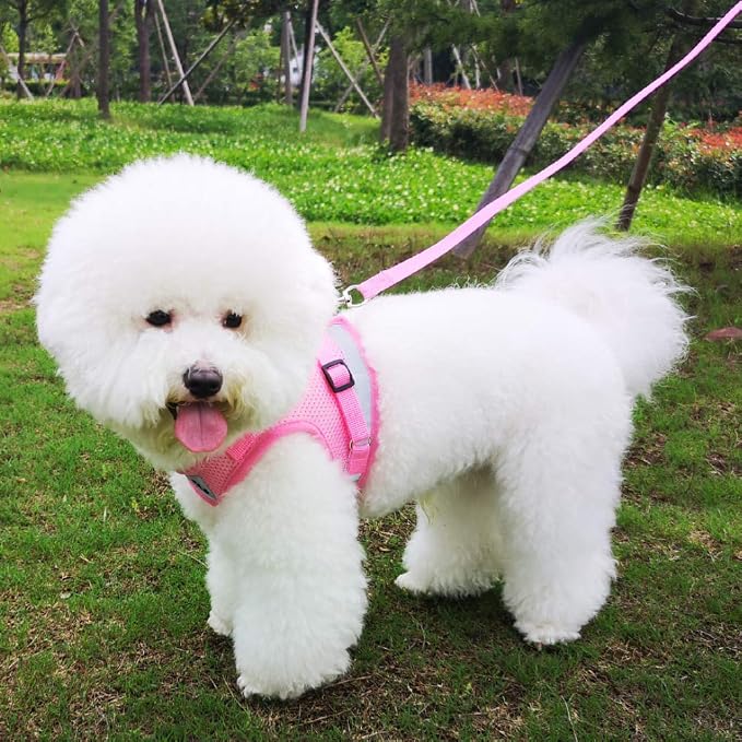 FEimaX Dog Harness and Leash Set - Image 7