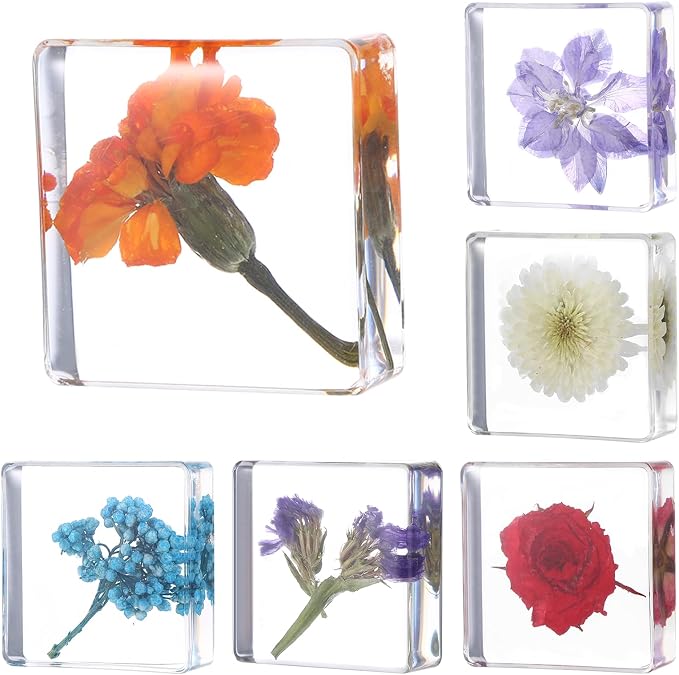 6Pcs Pressed Flower Paper Weights, Real Flower Resin Crafts, Pattern Weights by Unknown