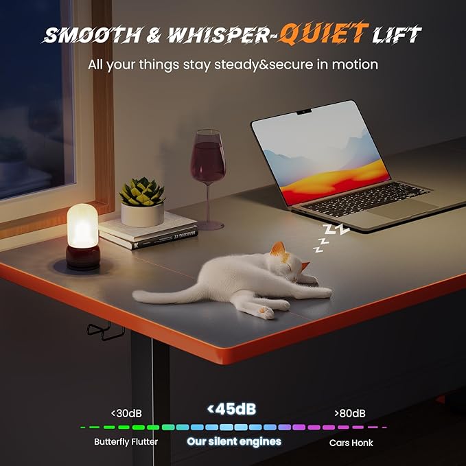 SIAGO Electric Standing Desk Adjustable - 48 x 24 Inch Sit Stand up Desk with Cable Management - 3 Memory Preset Adjustable Height Table-DeskLoop Office