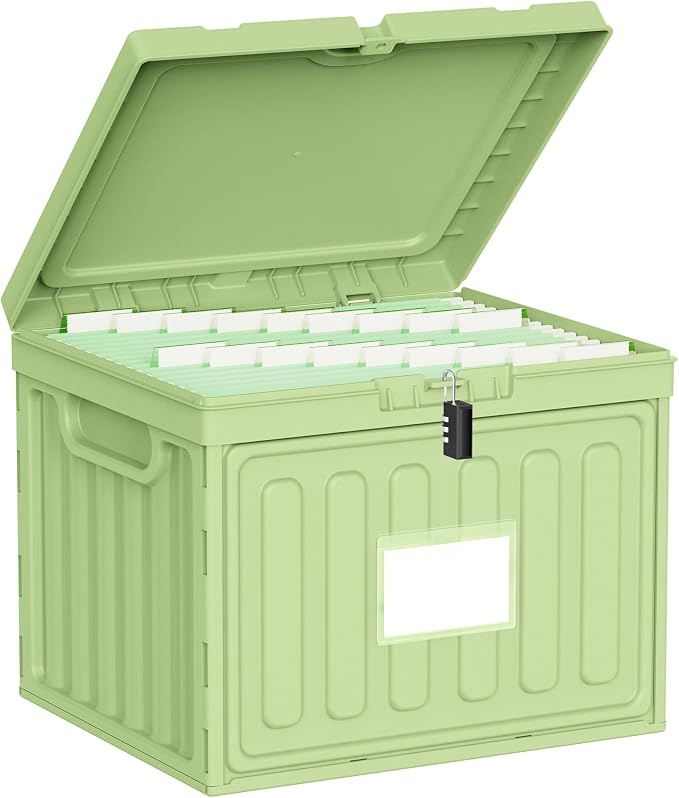 Oterri Lockable Plastic File Box by Oterri