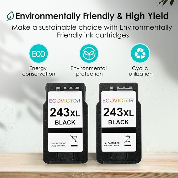 243XL Black Compatible Ink Cartridge Replacement for Canon 243 243XL PG-243 PG 243 XL Black Ink Cartridges for TR4520 TR4522 MG2522 MX490 MX492 TS3320 TS3120 TS202 MG2922 Printer (2-Pack)-DeskLoop Office