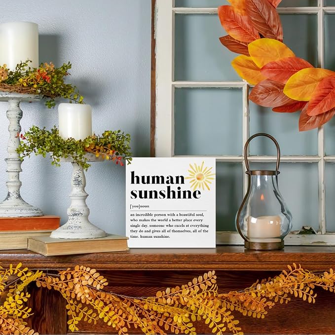 Sunshine Gifts for Women, Inspirational Gifts Human Sunshine Wood Box Sign - Image 5