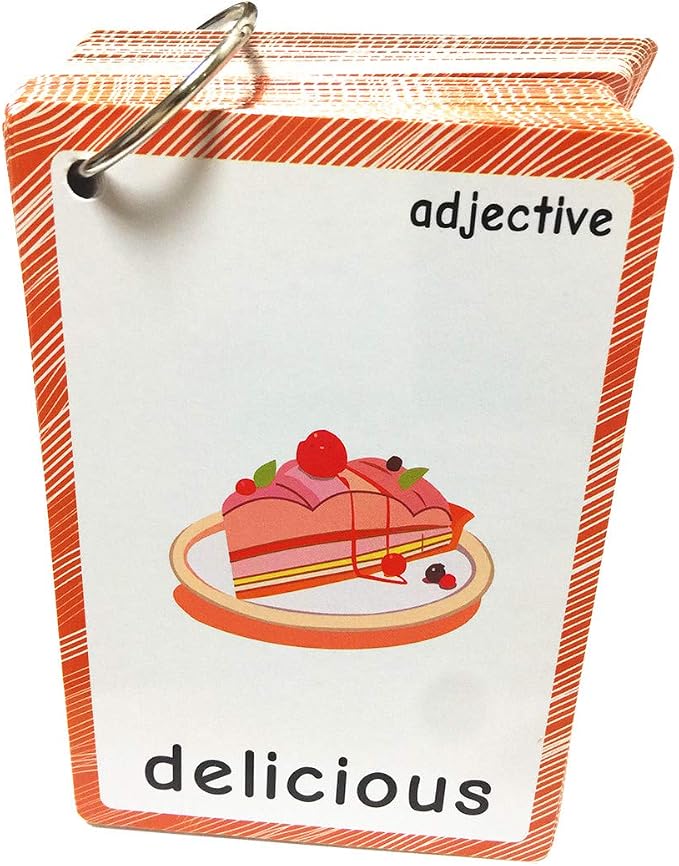 Set of Adjective&Antonym and Insect Flash Cards - Image 3