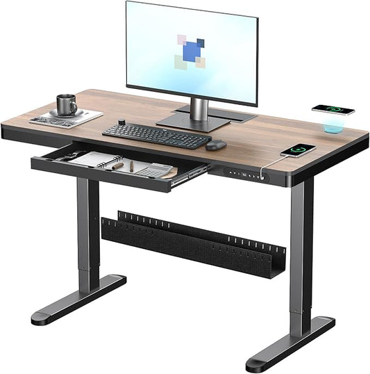 ERGO COLLECT Electric Standing Desk 48 Inch by ERGOCOLLECT