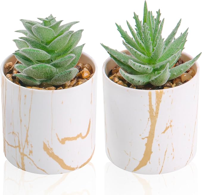 Der Rose Set of 2 Succulents Plants Artificial Mini Fake Succulents Plants by DerRose