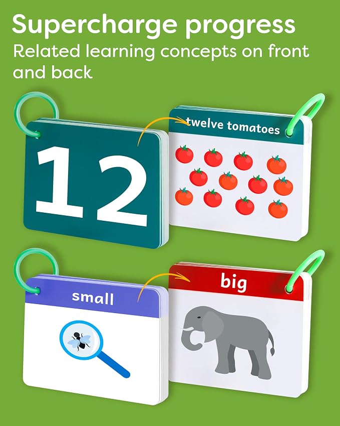 Toddler Flash Cards - Image 5