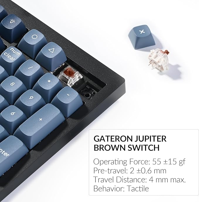 Keychron V6 Max Wireless Custom Mechanical Keyboard, 2.4 GHz Bluetooth QMK Full-Size Layout RGB with Hot-swappable Gateron Brown Switch Compatible with Mac Windows Linux-DeskLoop Office